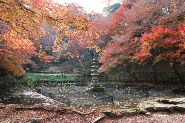 🍁 엔메이 절(엔묘지) 이미지 4